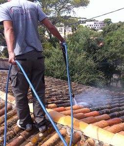 Nettoyage Toiture : Démoussage, Entretien et protection … SAPA spécialiste  de l'entretien de toiture - Hydrofugation